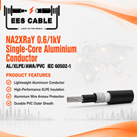 Câble d'alimentation monophasé 0,6/1 kV à conducteur en aluminium, isolation XLPE, blindage en aluminium, gaine en PVC, conforme à la norme IEC 60502-1