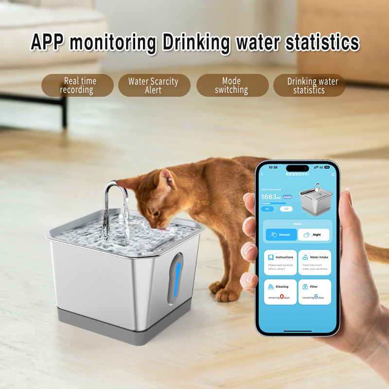 Argent APP Version