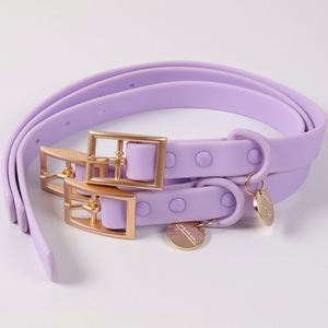 Conjunto de Collar y Correa para Perro con Etiqueta de Identificación de PVC Personalizada, Impermeable, Cómodo para Caminar, Colorido, Compras al por Mayor - Product Image 3