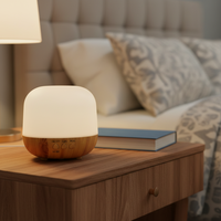 Nouveau diffuseur d'aromathérapie ultrasonique portable rechargeable USB à grain de bois, humidificateur à brume froide grande capacité pour hôtel, modèle 2026