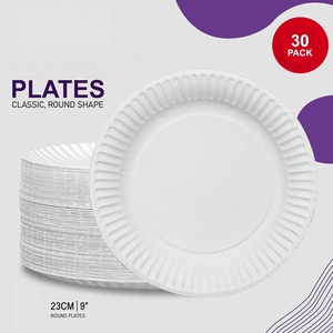 Assiettes en papier blanches de 10 pouces, assiettes en papier jetables pour un usage quotidien, résistantes à l'eau, résistantes aux coupures, assiettes jetables - Product Image 5