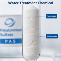 Pemurnian Air Minum Menggunakan Flokulan Polyaluminium Sulfat (PAS) Harga Pabrik