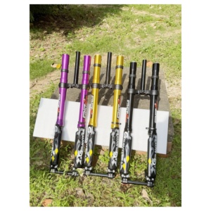 Phuộc trước giảm xóc đa năng <span class=keywords><strong>Fastace</strong></span> AHX12RV 3.0V 60 pounds dành cho xe đạp điện địa hình Surron MTB - Product Image 3