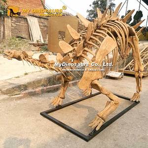 MY DINO Fósil <span class=keywords><strong>de</strong></span> Dinosaurio Jurásico, <span class=keywords><strong>Esqueleto</strong></span> Realista <span class=keywords><strong>de</strong></span> Estegosaurio en Venta - Product Image 5