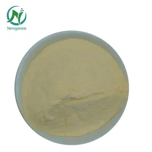 Newgreen Top Quality Natural Soybean Extract Powder 40% Soy Isoflavone