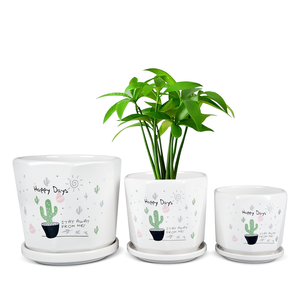 ชุดใหญ่โมเดิร์นแคคตัส <span class=keywords><strong>Happy</strong></span> <span class=keywords><strong>Day</strong></span> กระถางดอกไม้เซรามิกปลูกพืช - Product Image 5