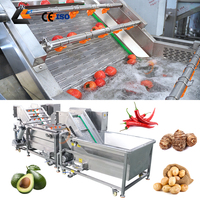 Industriële gemotoriseerde wasmachine voor fruit, groenten, yam, rambutan, citroenzaden, 2000 kg/uur, SUS304 roestvrij staal, bubbelwassing