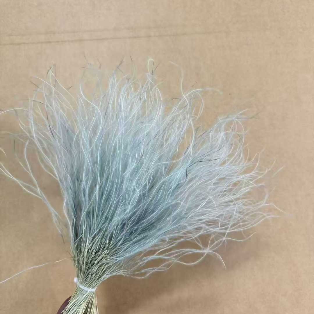 Gris bleu