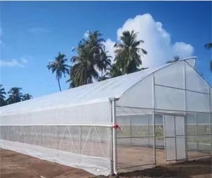 High Strength Commercial Agricultural Poly Tunnel Film Greenhouses Plastic Film Cultivation Shed Skeleton <strong>Tomato</strong> <strong>Green</strong> <strong>House</strong>
