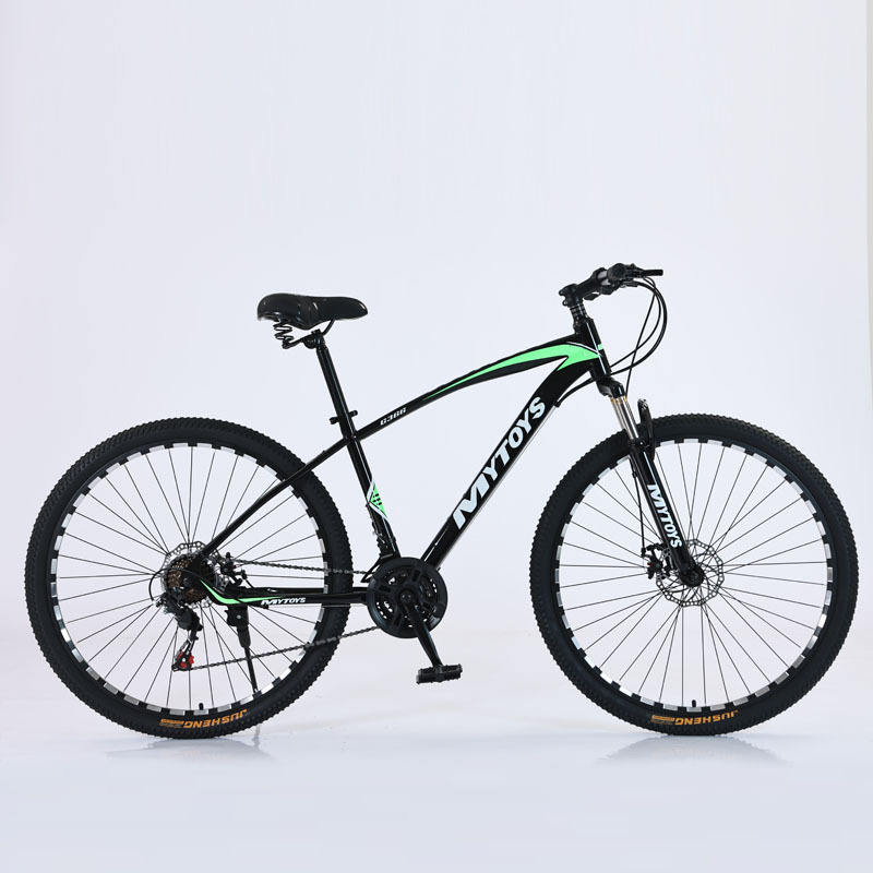 Roue à rayons verte 21 vitesses