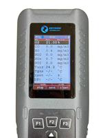 Analizzatore Portatile di Gas di Scarico Industriale MS700 FG con Stampante Esterna