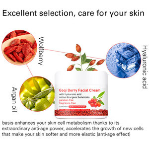 Crème de Jour Hydratante et Anti-Acné aux Baies de Goji, Acide Hyaluronique et Herbes, 50g, Effet Lifting, Blanchissant et Raffermissant, Vente en Gros - Product Image 1