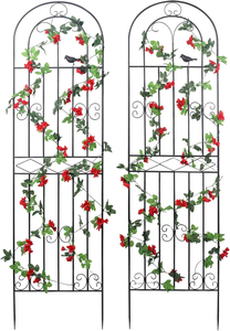 Oniya Jardin Treillis Plantes Grimpantes Fer Blanc Vignes En Pot Légumes Fleurs Fil Métallique Treillis Grille Panneaux pour Lierre Roses - Product Image 2