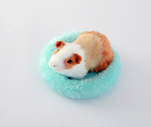 Tapis chaud d'hiver pour <span class=keywords><strong>hamster</strong></span>, lit en polaire pour petits animaux, hérisson, chinchilla, lapin - Product Image 5
