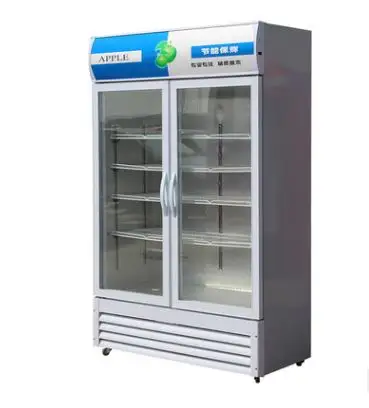Aufrecht Glastür Vitrine Display Kühlschrank Kühlschränke Preis für Blumen Verkauf