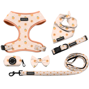 Nueva llegada colores de moda al por mayor sin tirar ajustable de neopreno gato mascota perro arnés correa de plomo <span class=keywords><strong>collar</strong></span> conjunto - Product Image 3