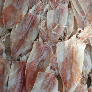 Squid séché de haute qualité, source durable, goût frais et excellente texture pour l'exportation du Vietnam 2025 - Product Image 1