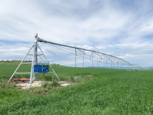 Sistema de Riego Automático Daringfish con Caja de Cambios de Movimiento Lateral y Motor, Construcción Metálica para Campos Agrícolas - Product Image 5