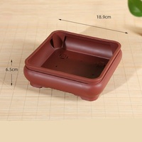 Pots de bonsaï carrés en plastique de conception classique de 18.9cm pour cactus et arbre succulents