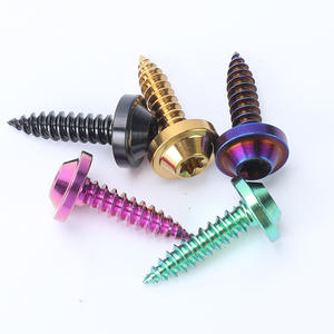 ねじファスナー,低価格卸売チタン合金セルフタッピングネジGR5チタンねじ注文 - Product Image 3