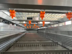 Lavadora automática de verduras de alta productividad 2024, Máquina secadora de limpieza de burbujas de frutas y verduras