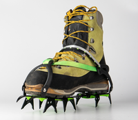 BRS-S1A Crampons à glace professionnels en acier au manganèse, 14 dents, imperméables, pour l'alpinisme
