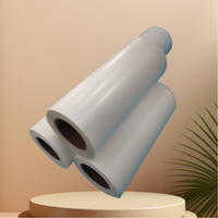 Rouleau de Film PET DTF de haute qualité 30cm 60cm Peel à chaud 75U épaisseur imprimante DTF 24 pouces Film DTF pour transfert de chaleur T-shirt vêtements