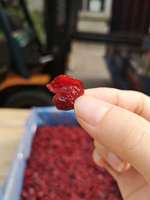 Gezonde snacks Gedroogd fruit Gedroogde cranberry 1/4 Gedroogde cranberries