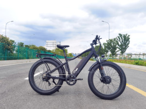 Bicicleta Eléctrica de Doble Motor 48V 250W, Bicicleta de <span class=keywords><strong>Montaña</strong></span> con Llantas Gruesas de 26 Pulgadas, Bicicleta Eléctrica para Adultos - Product Image 5