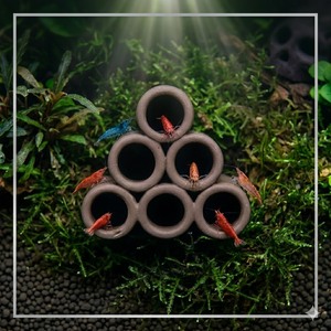 <span class=keywords><strong>Refugio</strong></span> para peceras, escondite para camarones, mini nido para pez loro, tanque de cría, bolsas ligeras de cerámica morada, modernas y duraderas - Product Image 3