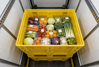 Caisse en plastique jetable avec roulettes |   Conception empilable pour le stockage et la manutention