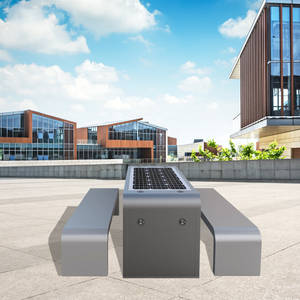 รุ่นขายดีพร้อมที่ชาร์จไร้สาย USB & Type-C ระบบพลังงานแสงอาทิตย์ใช้ในสวนกลางแจ้งอาคารสาธารณะพลังงานแสงอาทิตย์ราคาถูก2303สวนโลหะ2303เมตร - Product Image 2