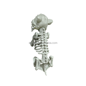 Manufacturers Halloween <b>Plastic</b> Crafts <b>Animal</b> Skulls Frame Custom Holiday Gifts for Party Vibe Decorations - Product Image 3