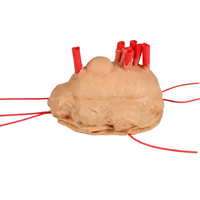 Modelo de Entrenamiento Laparoscópico para Fibroides Uterinos, Simulador de Resección de Histeromioomas de Silicona para Entrenamiento en Cirugía Ginecológica