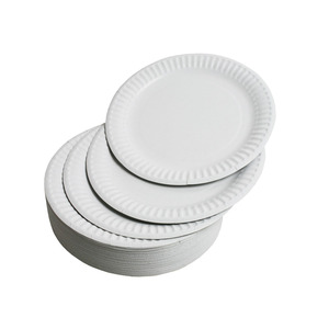 High Quality Disposable Paper Plates and Bowls
