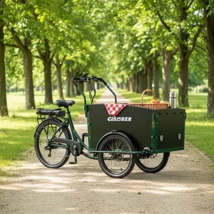Vélo cargo électrique à 3 roues Clamber, entrepôt UE, avec moteur central 250W, design hollandais Bakfiets, pour le <span class=keywords><strong>transport</strong></span> familial - Product Image 4