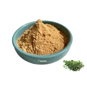 Extracto de Alfalfa, extracto de medicina Sativa en polvo, flavonoides