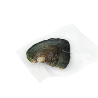 Vente en gros de coquilles d'huîtres de la marque Edwin, perles naturelles de 9 à 11 mm, forme d'étoile à cinq branches, perles d'eau douce, emballées sous vide