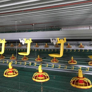 Tự động hoàn chỉnh gia cầm thiết bị nông nghiệp với gà đá đen nhựa - Product Image 5