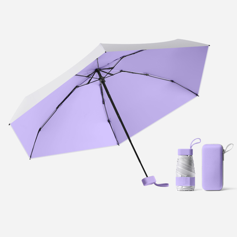 Charmant violet avec boîte
