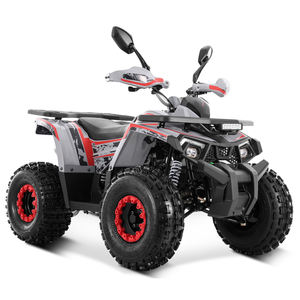 Nuevo Cuatrimoto Tao Motor 2025 Chino Económico de <span class=keywords><strong>150cc</strong></span> con Arranque Eléctrico y Transmisión por Cadena - Product Image 2