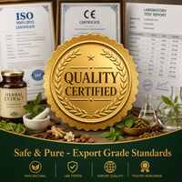 Patchs pour les pieds Vitality Poria Eight Treasure OEM ODM 30 pièces/boîte, autocollants à base de plantes et de moxa pour soulager l'humidité, prix usine