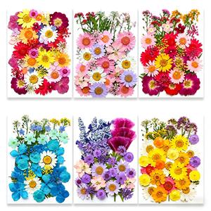 Wholesale Mixed Large Pressed Dried Flowers Pack for Resin Bookmark <strong>Phone</strong> Case Wall Decor Jewelry Crafts - Product Image 1