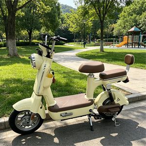 Low Price 1000W 500W 350W 14 Inch Hybrid Bike 48V 12Ah Lead Acid Battery 3 Speed Brushless Digital Hydraulic Disc - Product Image 1