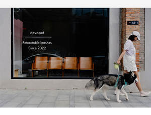 สายจูงสุนัขไฟ LED แบบยืดหดได้พร้อมกระเป๋าใส่และไฟฉายใช้กลางแจ้งสำหรับสัตว์เลี้ยงเดินได้<span class=keywords><strong>2025</strong></span> - Product Image 4