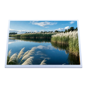 Original Innolux G101ICE-LH2 10.1 Inch WXGA 1280×800 AAS 1200nits LVDS 30Pin Ultra Wide Temp Industrial TFT <b>LCD</b> <b>Module</b> - Product Image 6