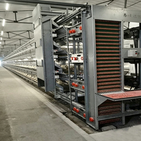 Cage à poules pondeuses galvanisée durable à prix d'usine avec système de collecte automatique des œufs, haute efficacité pour élevage avicole