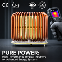 Inducteur toroïdal en poudre de fer jaune avec résistance de polarisation CC pour filtre de sortie SMPS, onduleur solaire et alimentation UPS