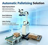 Brazo Robótico Colaborativo con Certificación CE, Operación Estable, Robot de Paletización para Apilado de Cajas de Productos de Uso Diario