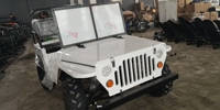Mini UTV Willys 110cc à essence 2 roues motrices 4 temps automatique certifié CEE/EPA, modèle d'usine original, très populaire, pour enfants et adultes, avec 2 places